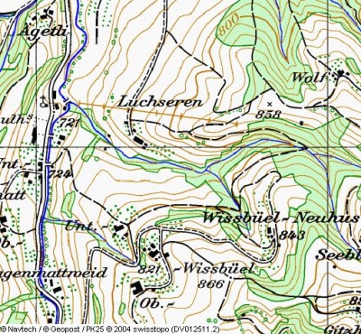 Karte-Hergiswil-bei-Willisa.jpg
