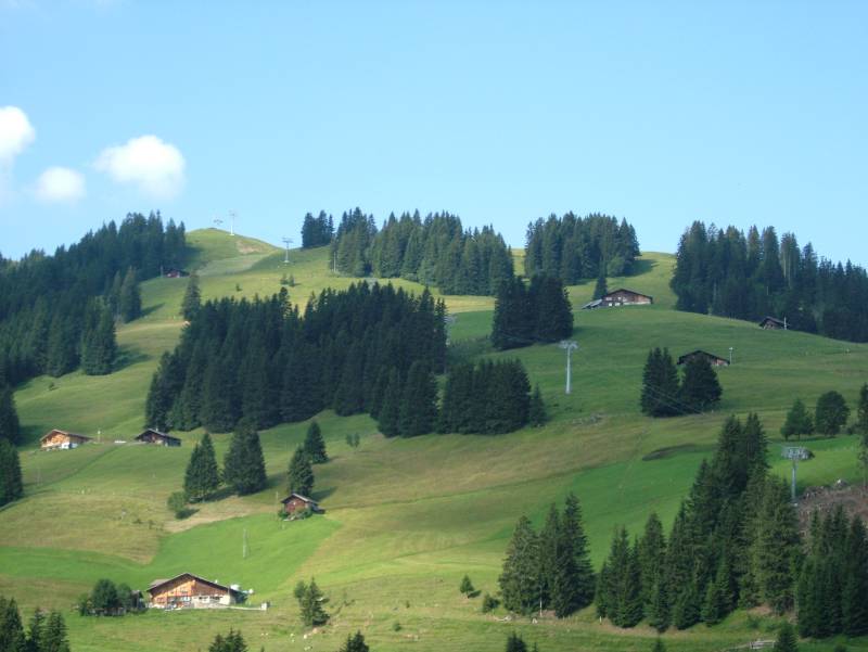 Sesselbahn Adelboden-Chüenisbärgli, Juli 2006