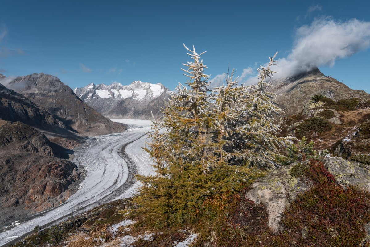 Aletschgletscher, Oktober 2021