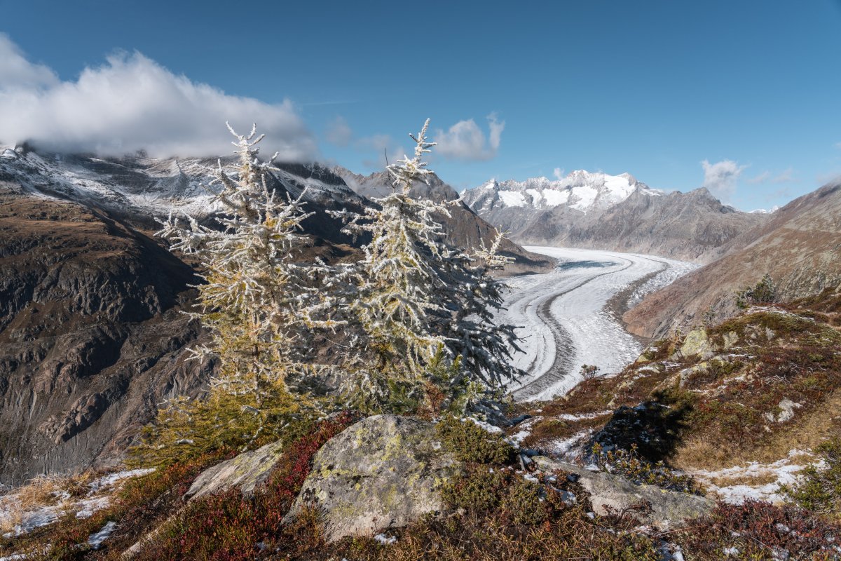 Aletschgletscher, Oktober 2021