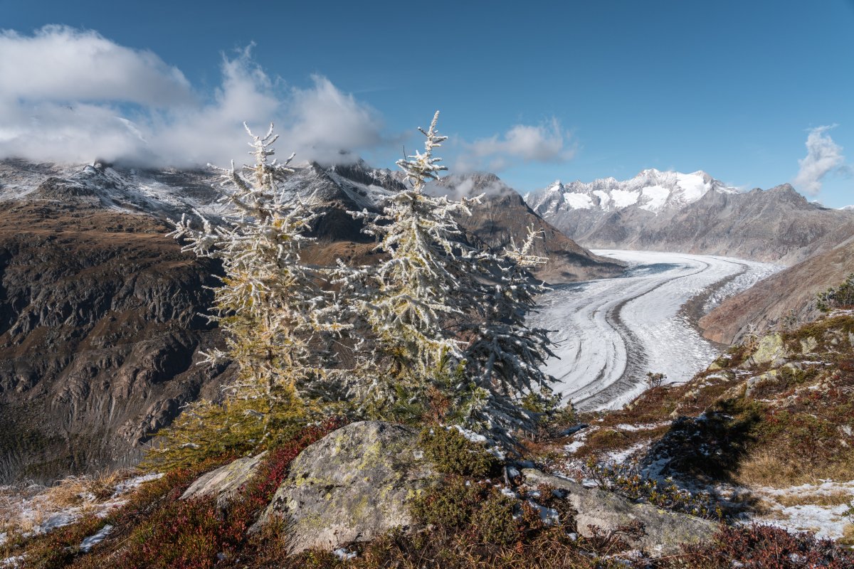 Aletschgletscher, Oktober 2021
