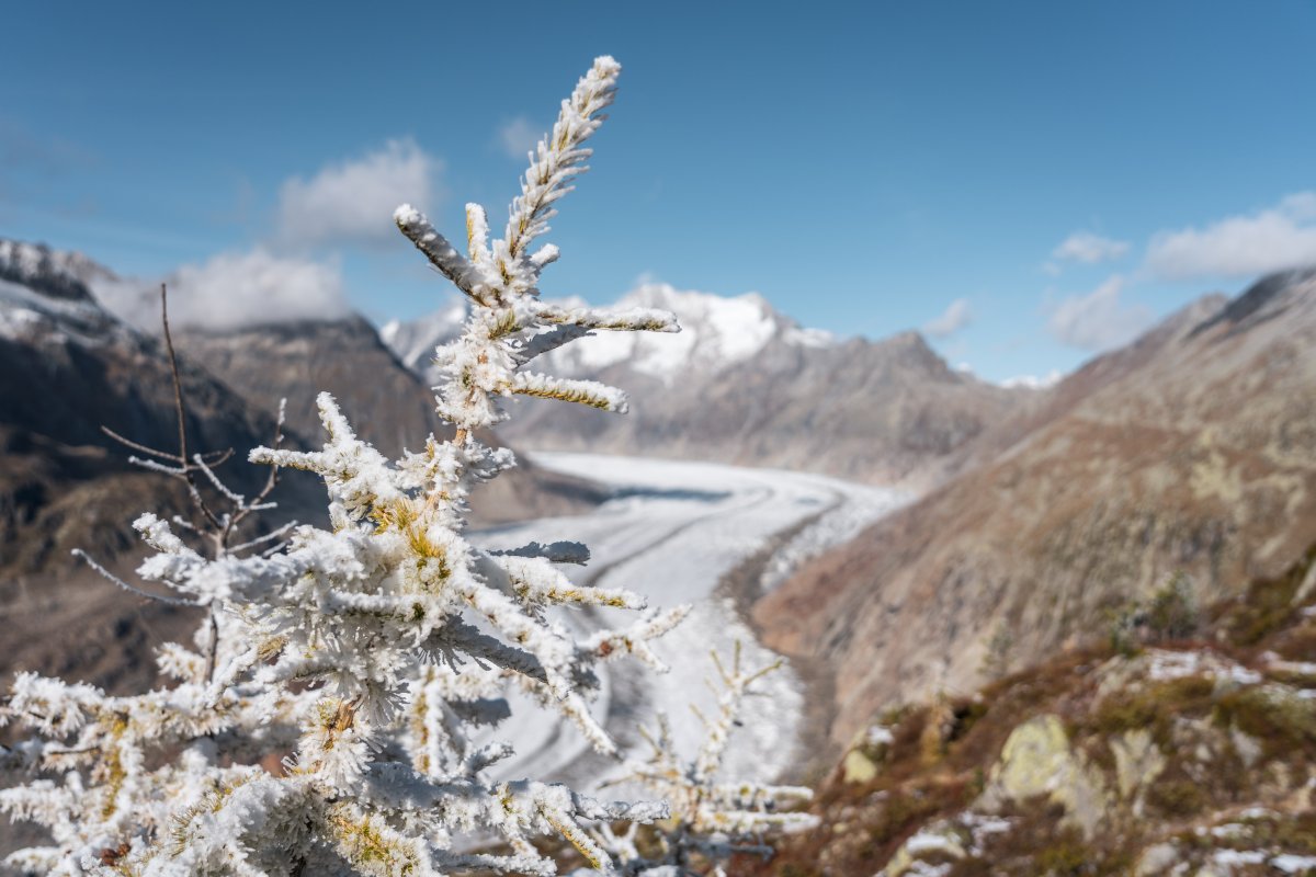 Aletschgletscher, Oktober 2021