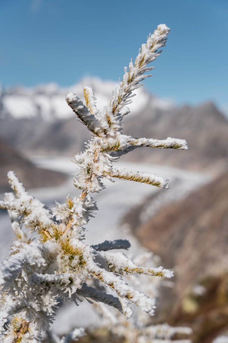 Aletschgletscher, Oktober 2021