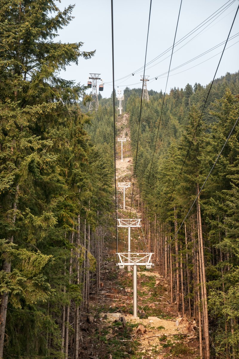 Kabinenbahn Blue Grouse, September 2024