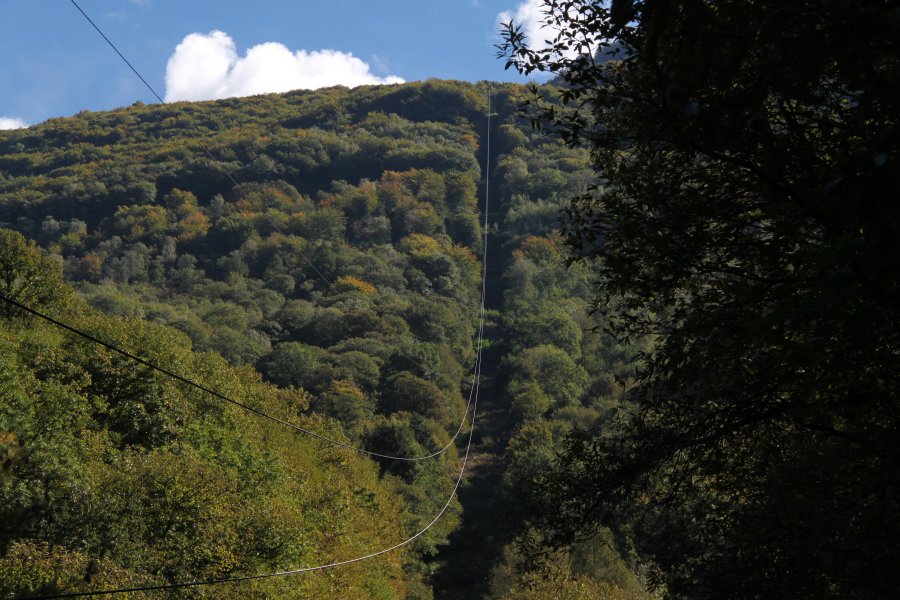 Strecke der Luftseilbahn Camorino-Alpe di Croveggia. Erbaut wurde die kuriose Anlage von Guido Meyer, Oktober 2010