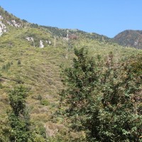 Strecke der Luftseilbahn Lumino-Monte Saurù. Bei dieser Bahn handelt es sich um die einzige Kleinpendelbahn im Tessiner Teil des Misox, Oktober 2010