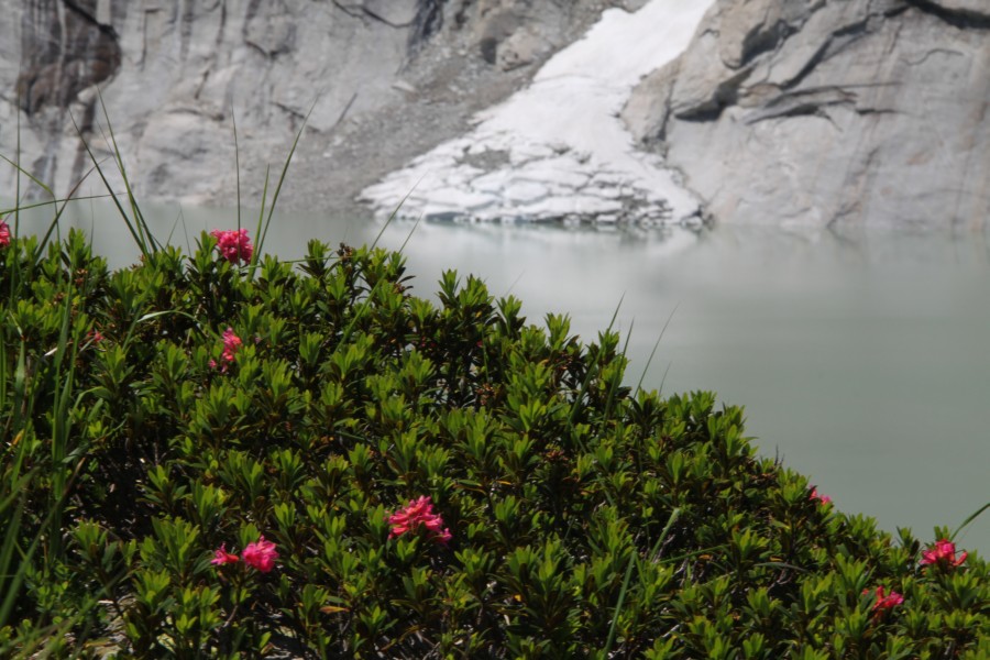 Albignasee, Juli 2010