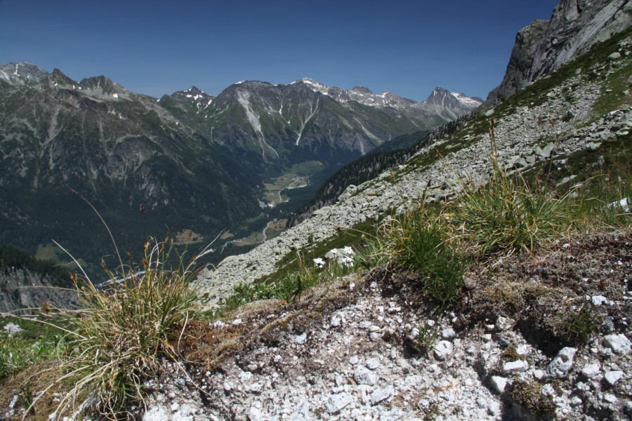 Albignasee, Juli 2010