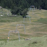 Erst vor kurzem wurde dem Schlepplift Sur Cresta in Casaccia ein neuer Anstrich verpasst, Juli 2010
