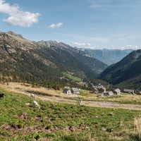 Grossalp, September 2023