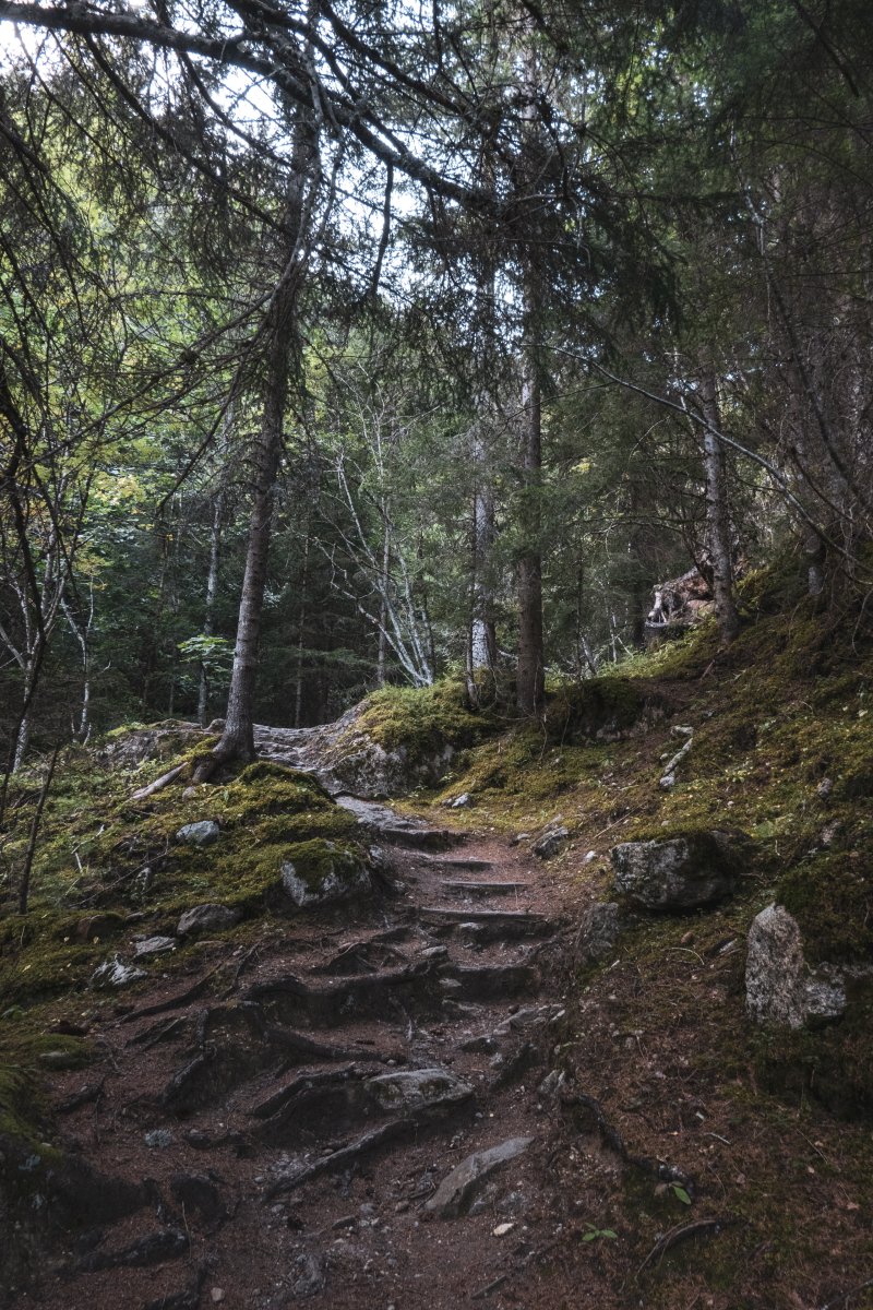Steiler Wanderweg im Wald von Chamonix