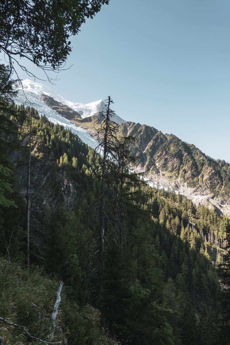 Glacier des Bossons in Chamonix