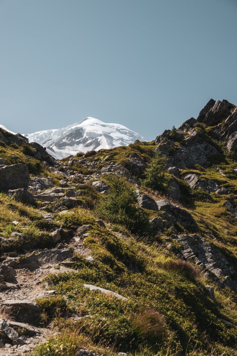 Wanderweg mit vergletschertem Berg im Hintergrund