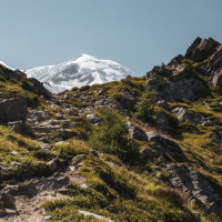 Wanderweg zur Station des Glaciers, August 2023