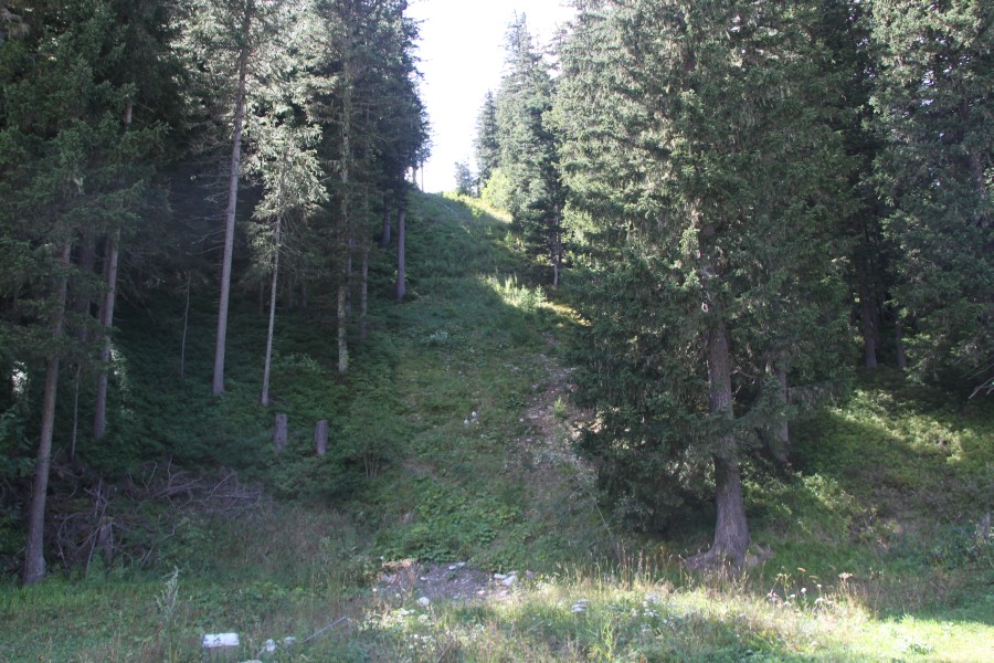 Schneise des ehemaligen Schlepplifts La Breya von Poma, August 2011