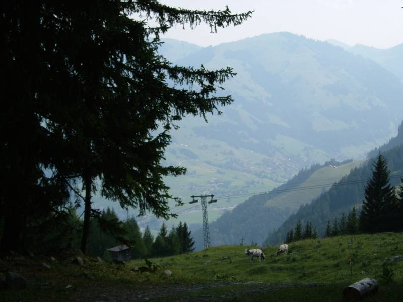 Schlepplift Tête des Mourriaux, Juli 2006