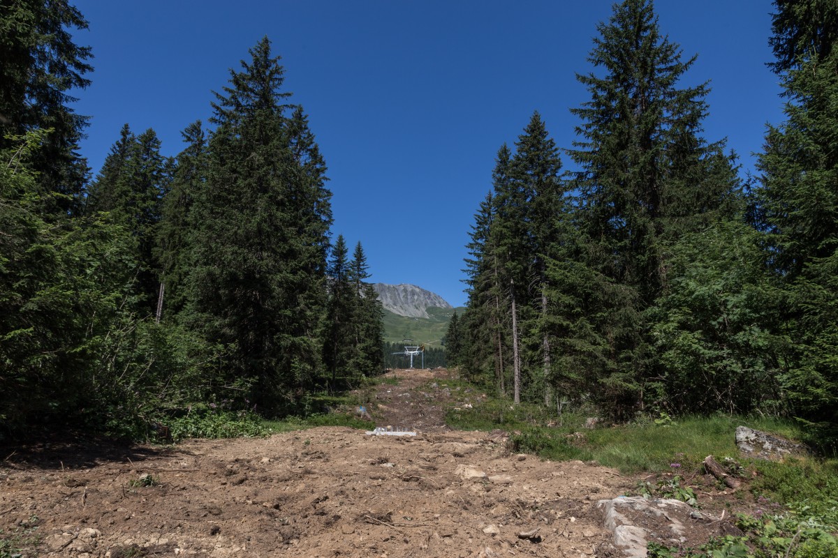 Neu ausgeholzte Schneise und Fundamente für die Verbindungsbahn zwischen West- und Ostseite in Parpan, Juli 2015