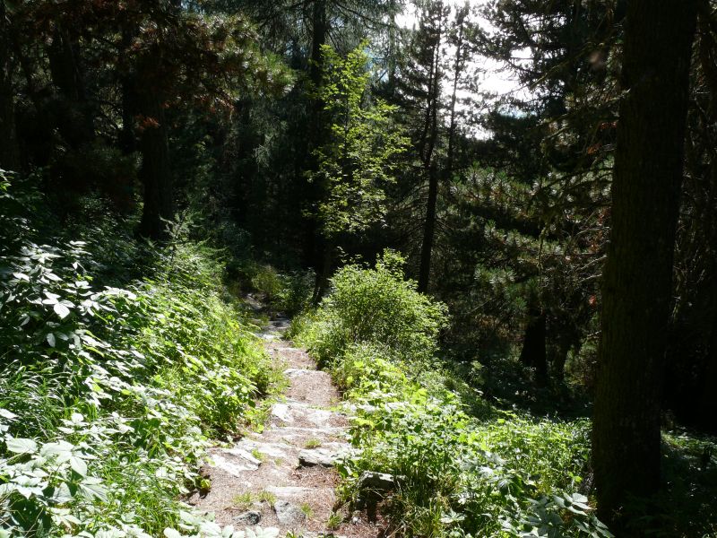 Wanderweg am Lej da Silvaplauna, August 2007
