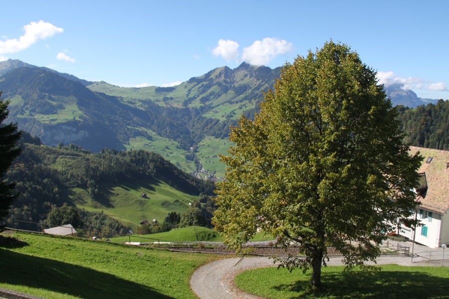 Photo Gallery Photo View •