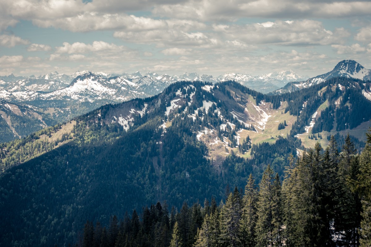 Panorama vom Taubenstein, Juni 2019