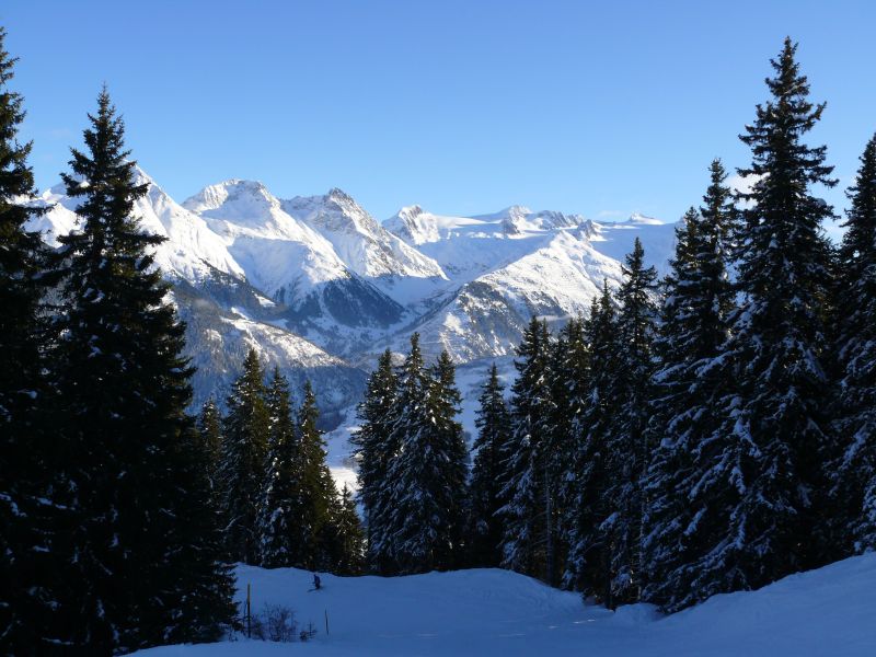 Talabfahrt nach Disentis im Wald, Dezember 2008