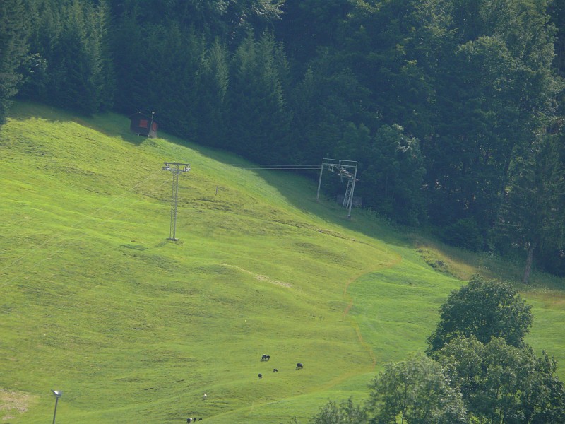 Schlepplift Schwende-Oberes Horn, Juli 2008