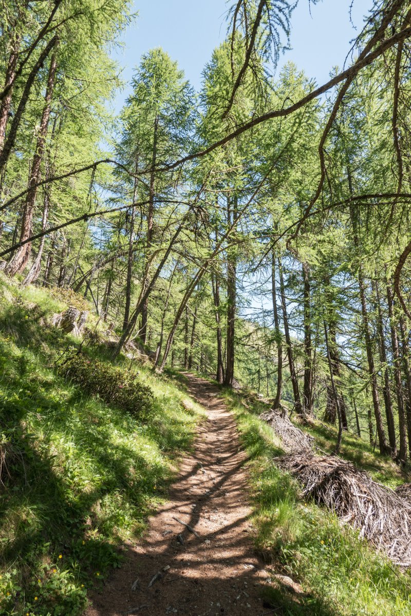 Höhenweg Moosalp-Jungen, Juni 2022