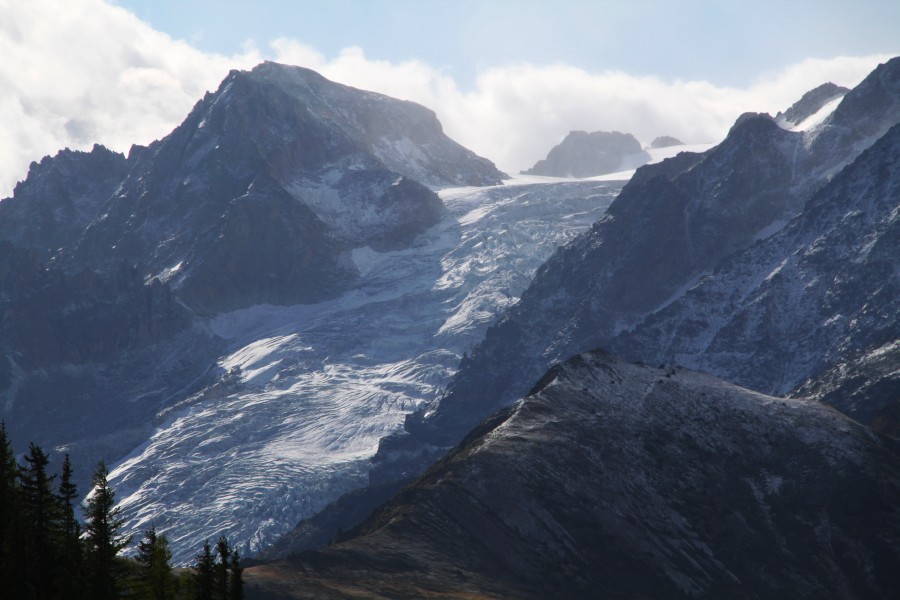 Glacier du Trient, August 2011