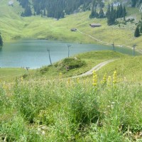 Schlepplift Hinterstocken, Juli 2005