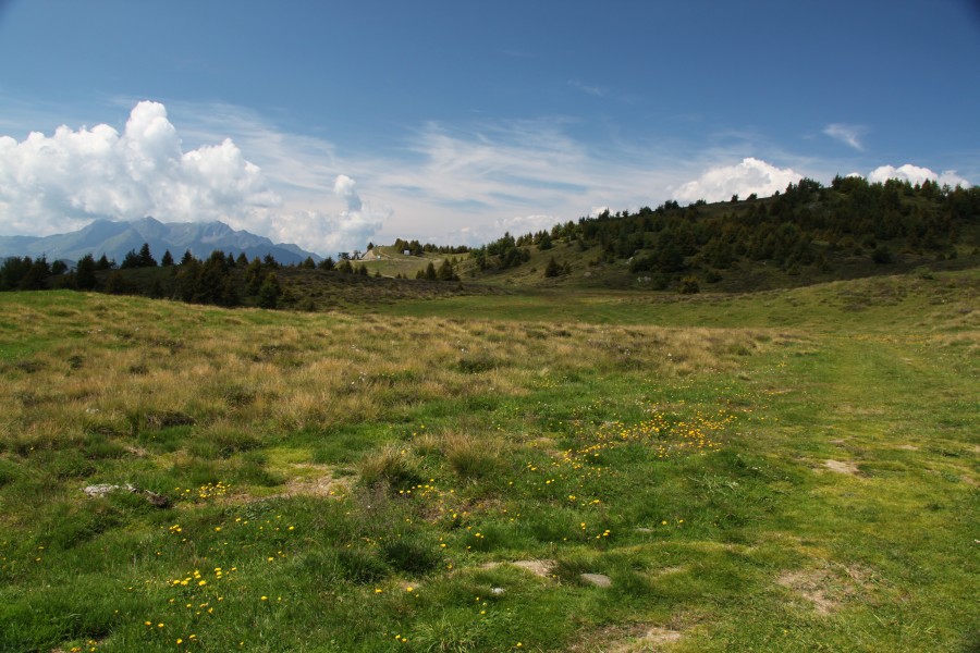 Hochebene Mutta, August 2012