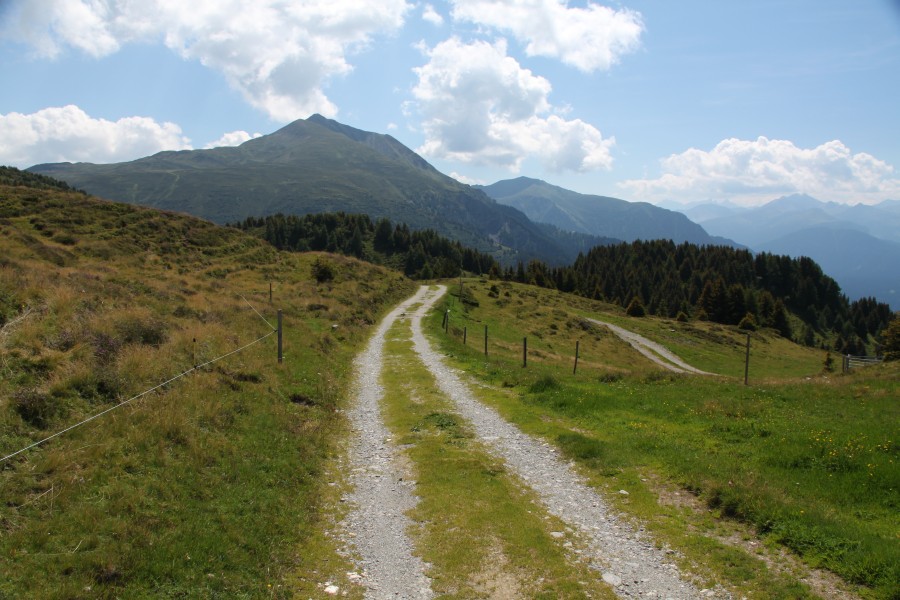 Weg zur Alp digl Plaun, August 2012