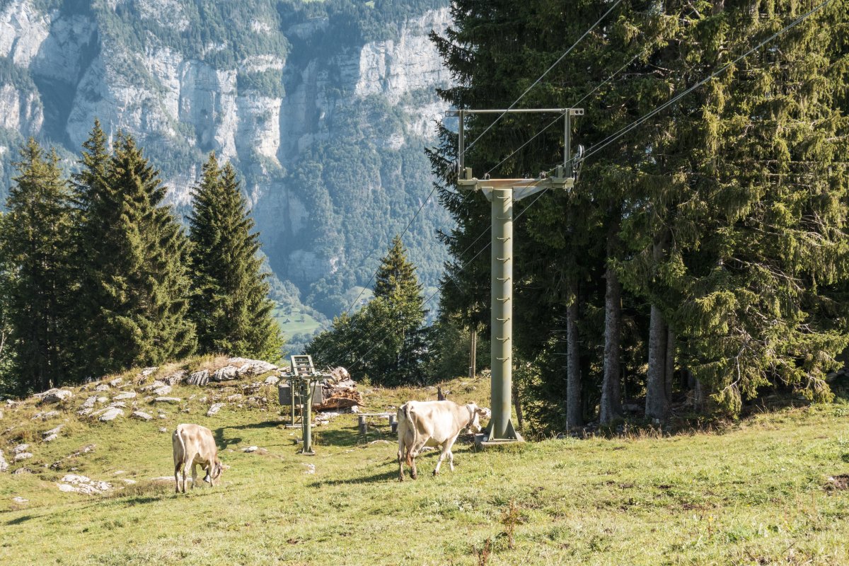 Schlepplift Habergschwänd, September 2022