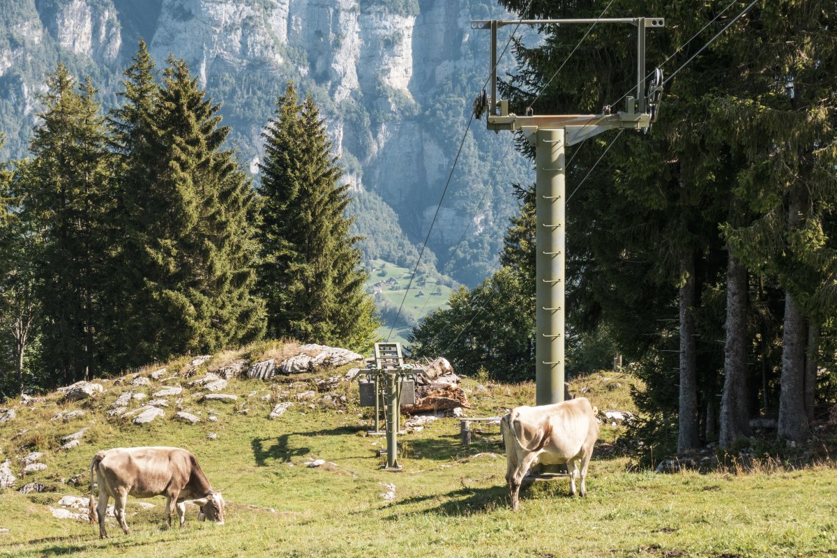 Stillgelegter Skilift Habergschwänd aber Kerenzerberg
