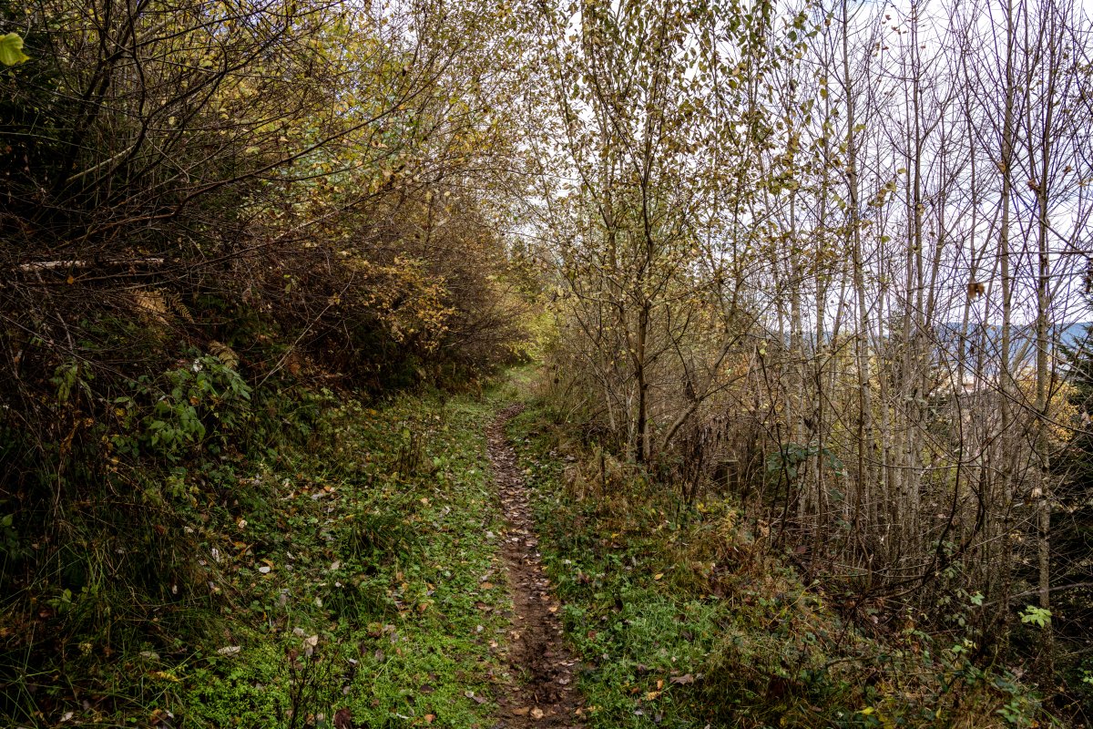 Wanderweg am Tête du Costet