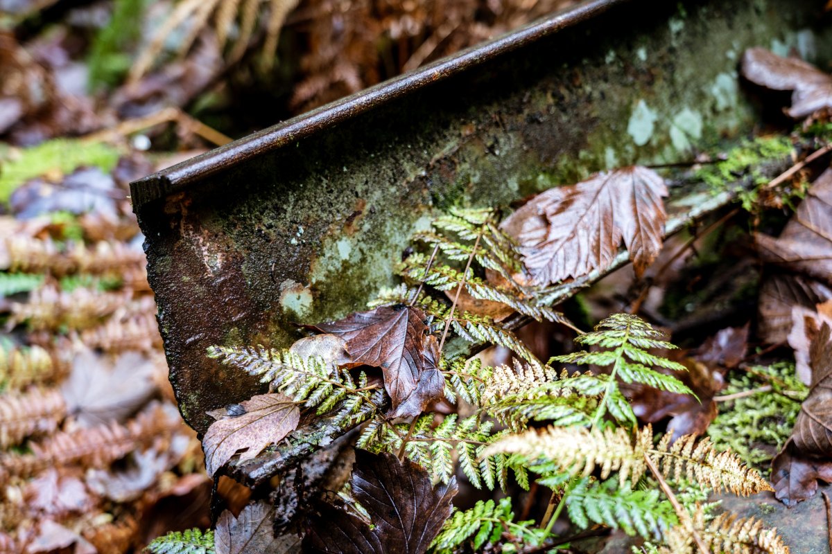 Verrostete Skilifte-Teile im Wald