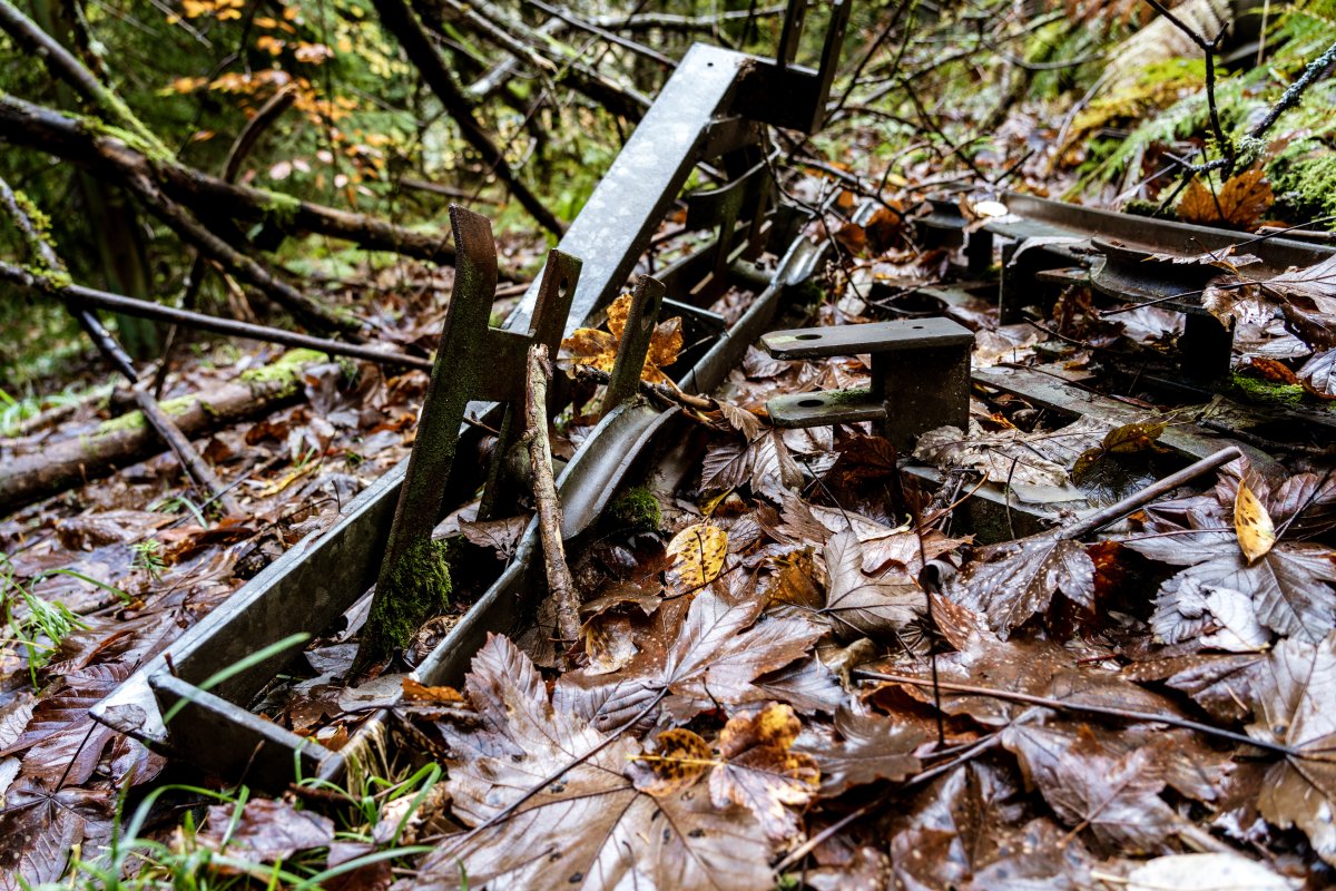 Ehemalige Rollenbatterien auf dem Waldboden am Tête du Costet