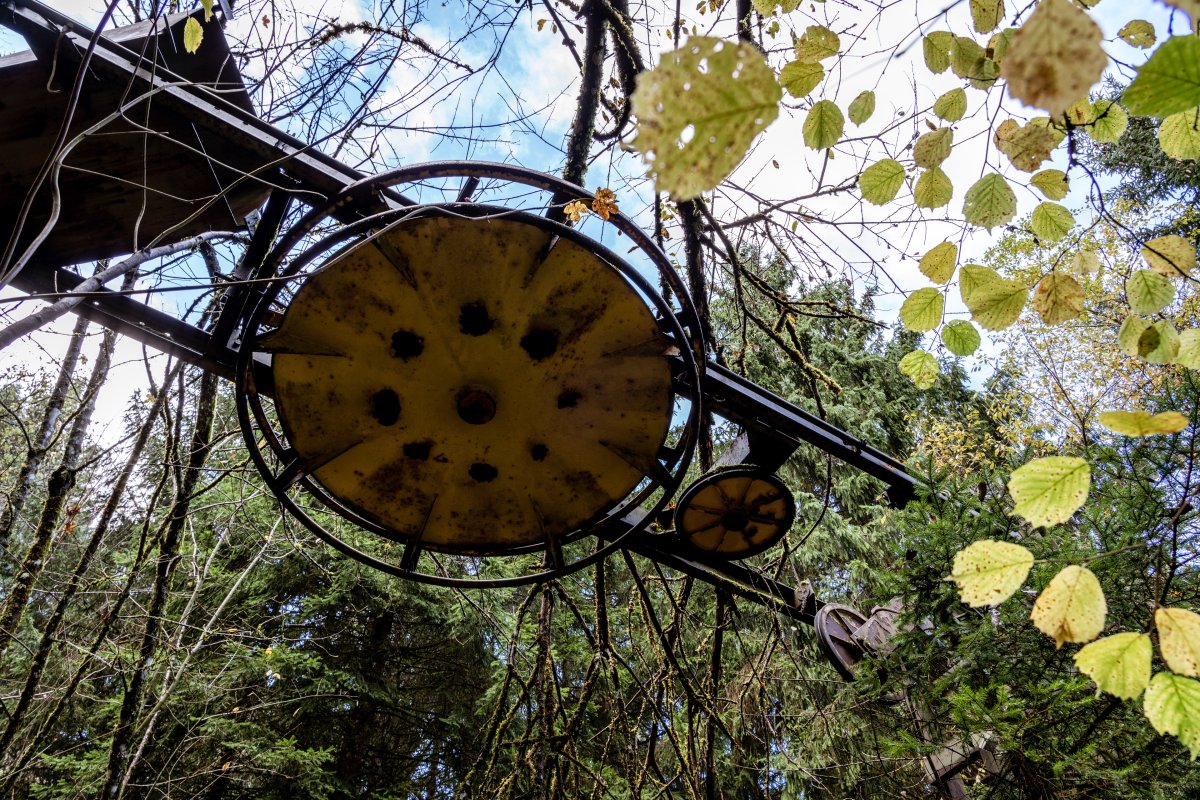 Verrottete Skilift-Talstation von Bühler im Wald