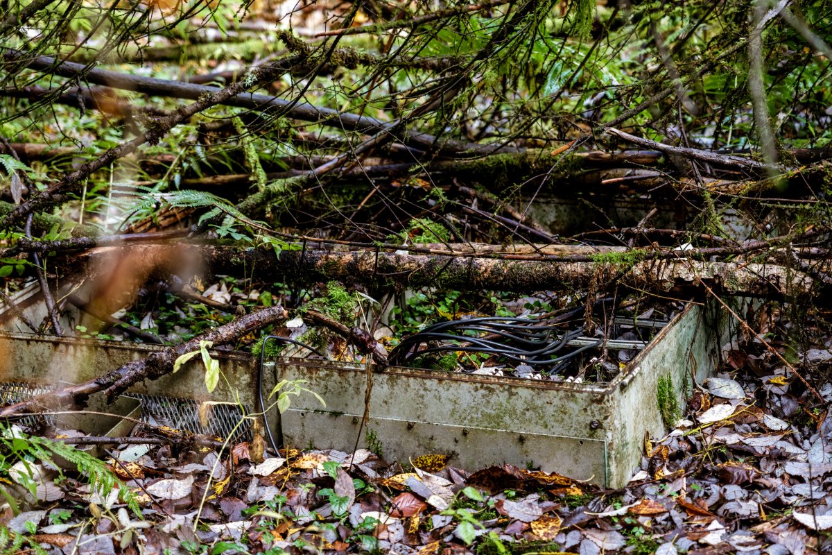 Überreste eines Schaltkastens im Waldboden versunken