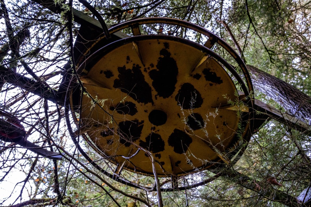 Stillgelegter Schlepplift am Tête du Costet in Gérardmer, November 2021