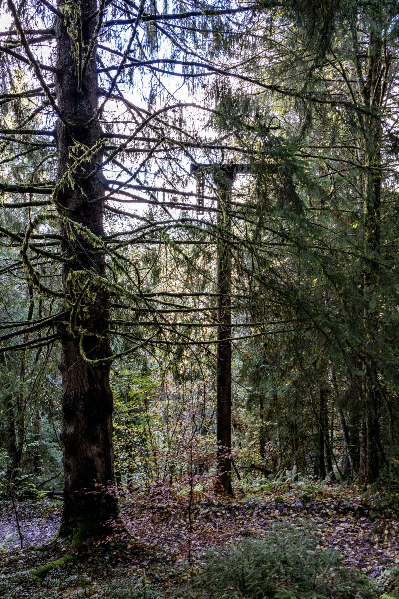 Stillgelegter Schlepplift am Tête du Costet in Gérardmer, November 2021