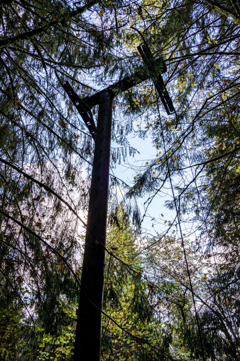 Stillgelegter Schlepplift am Tête du Costet in Gérardmer, November 2021