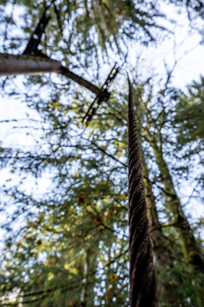 Drahtseil eines Skilifts im Wald