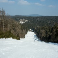 Schön trassierte Piste de l'Aigle durch den Mischwald, März 2015