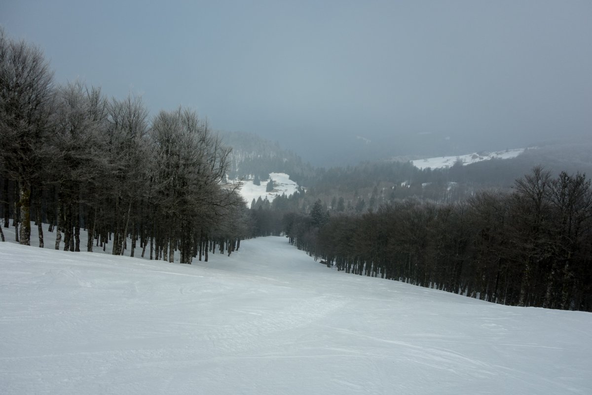 Piste am Schlepplift Goulet