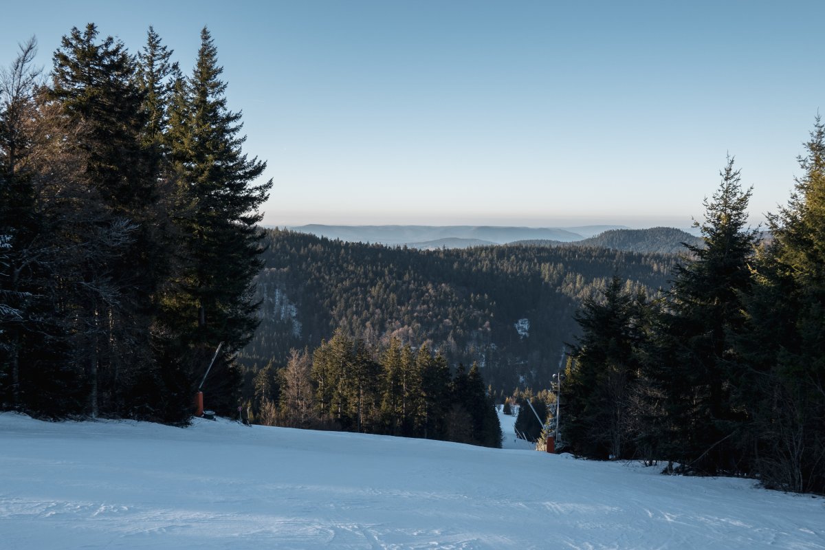 Waldabfahrt an der Sesselbahn Montjoie