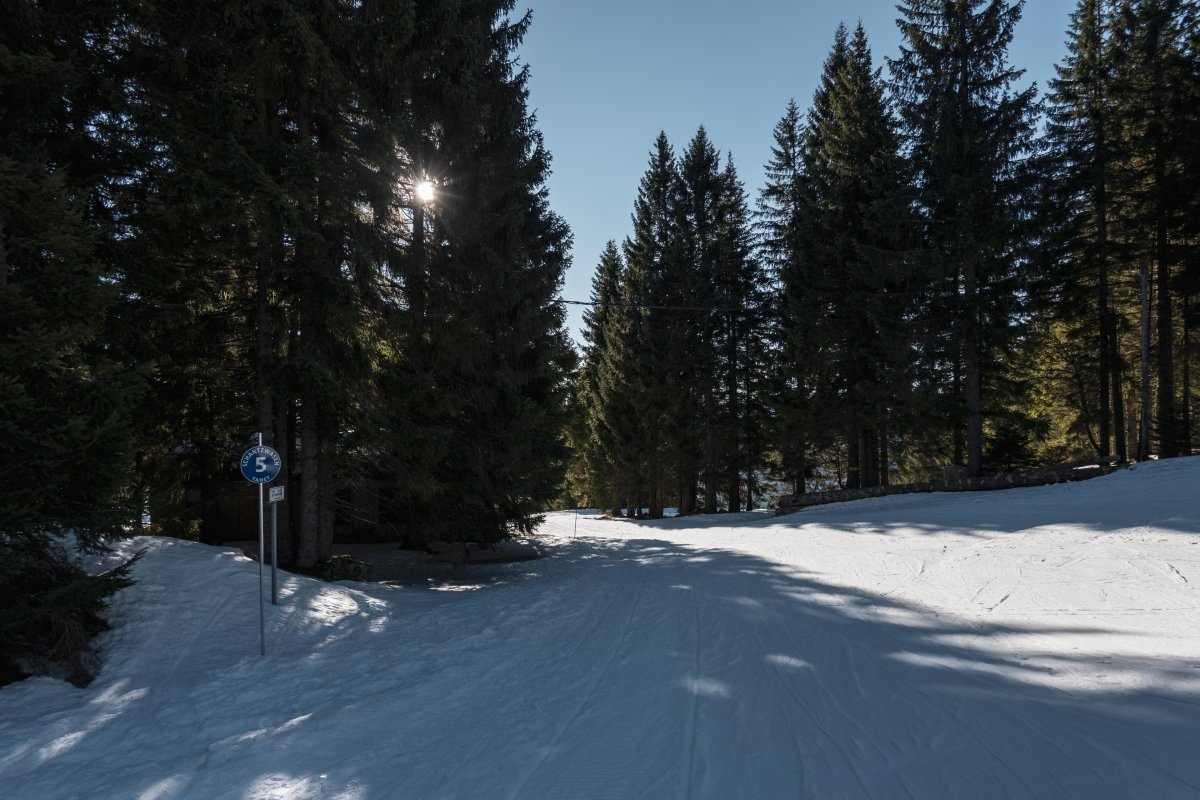 Skipiste an der Auberge du Schantzwasen
