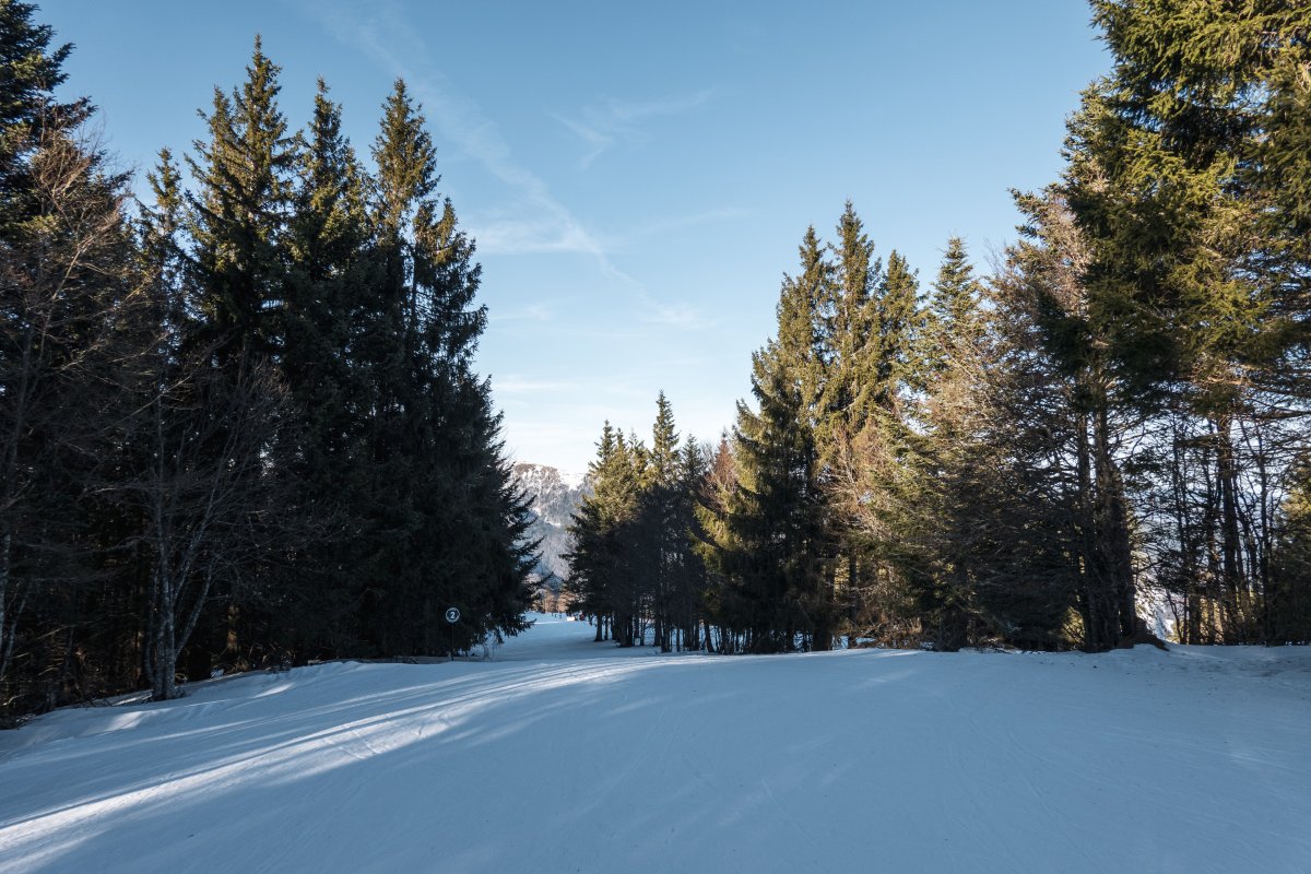 Abfahrt am Schlepplift Deybach