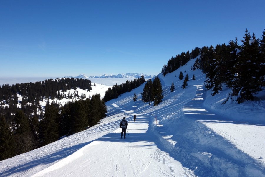 Verbindungspiste vom Schlepplift Tétras zu den restlichen Anlagen, März 2013