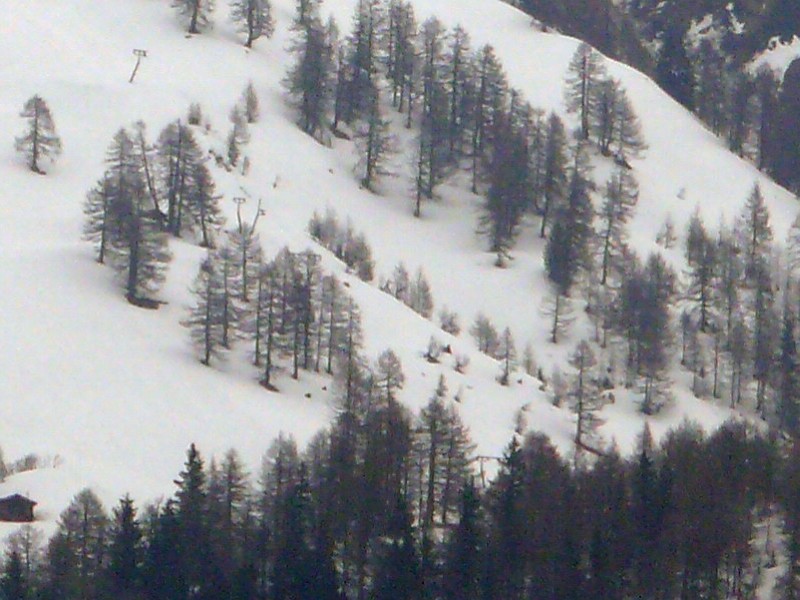 Zoom zu den beiden stillgelegten Baco-Schleppliften am Hungerberg in Oberwald, April 2009