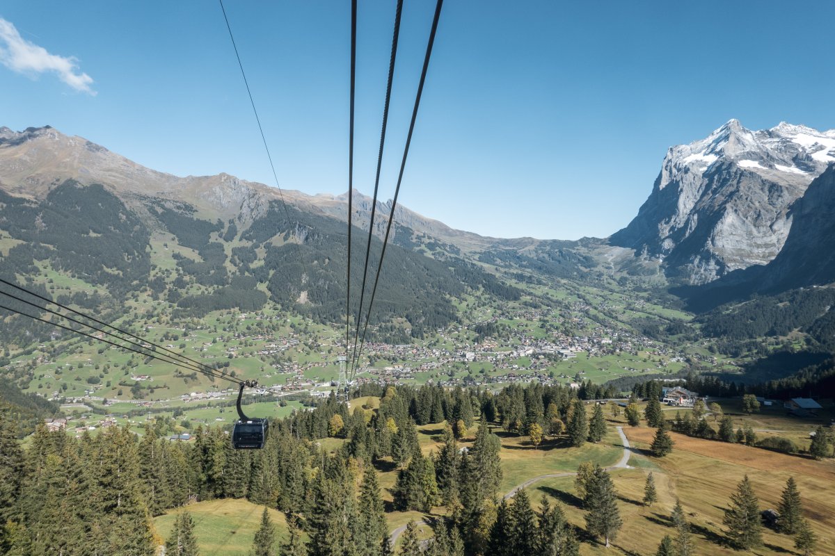 Talfahrt nach Grindelwald mit Panorama